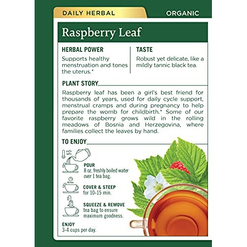 Traditional Medicinals Organic Raspberry Leaf Herbal Tea, 16 Tea