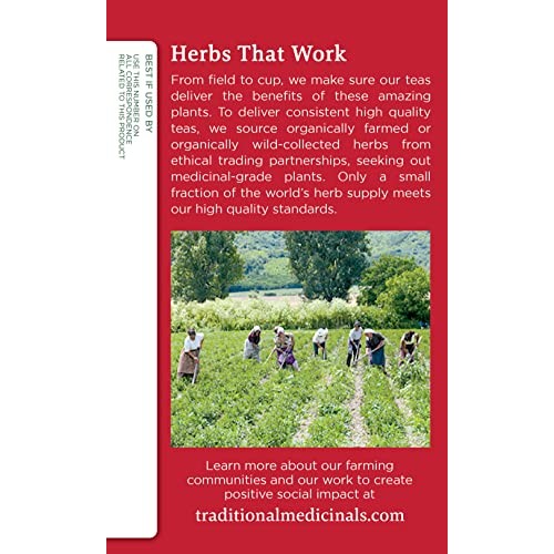 Traditional Medicinals, Seasonal Wellness, Organic, Echinacea Pl...