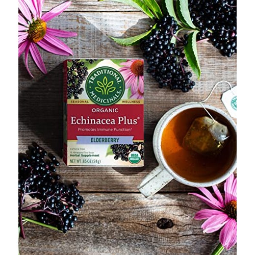 Traditional Medicinals, Seasonal Wellness, Organic, Echinacea Pl...