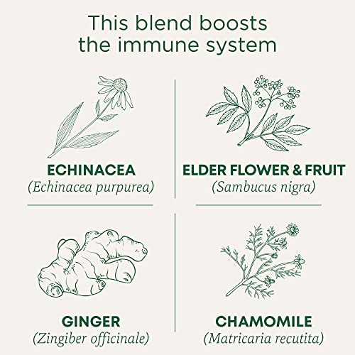 Traditional Medicinals Tea, Organic Echinacea Plus Elderberry, B...