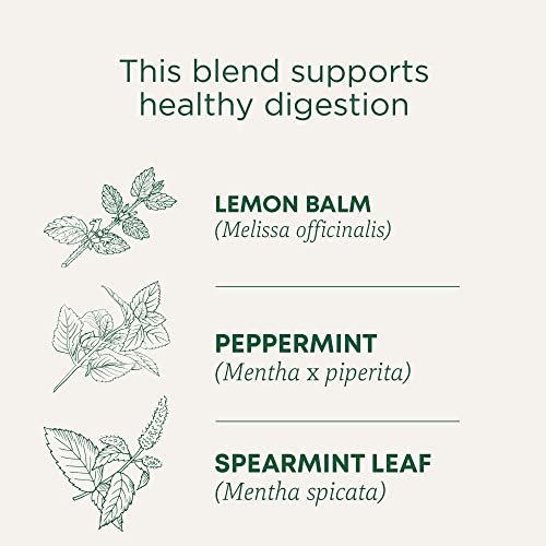 Traditional Medicinals Tea, Organic Peppermint Delight Probiotic...