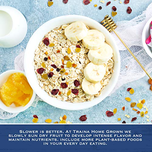 Traina Home Grown Fruitons All American Blend Fruit Mix - Non Gm