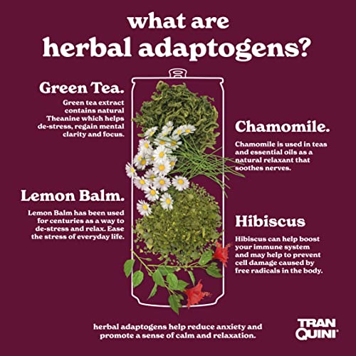 Tranquini Adaptogen Drink, Calming Sparkling Water, Gluten Free,...