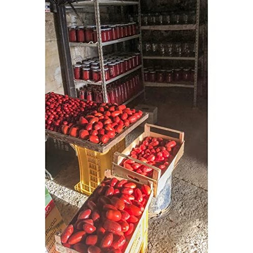 Trattoria Amalfi Gourmet Authentic Italian Pizza Sauce - Natural