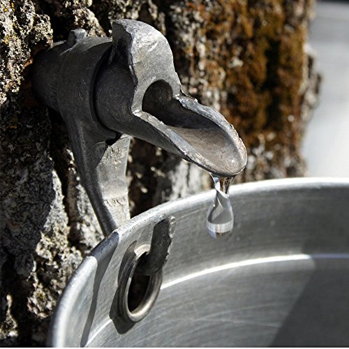 Traverse Bay Farms 100% Pure Michigan Maple Syrup - 4 - 8 Oz. Bo