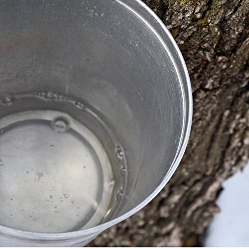 Traverse Bay Farms 100% Pure Michigan Maple Syrup - 2 - 8 Oz. Bo