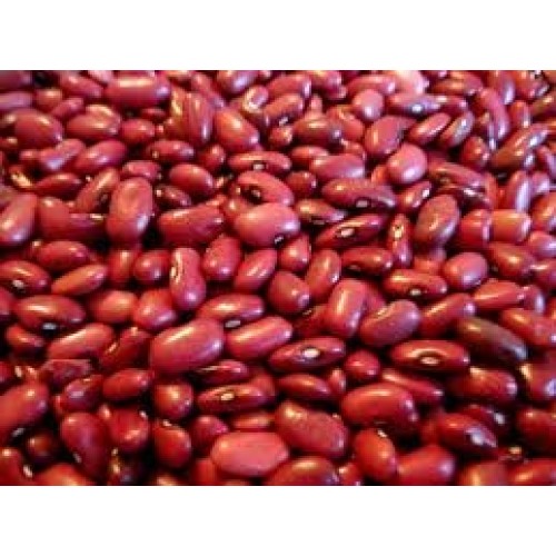 Dried Small Red Beans - 25 Lb. Bag