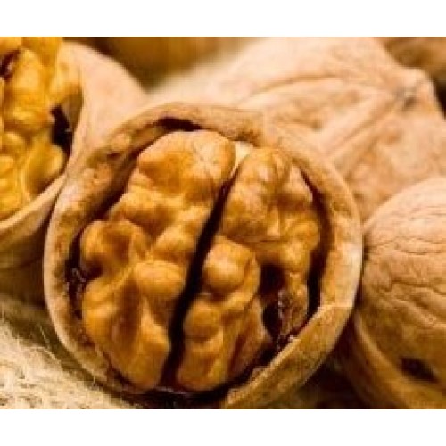 In Shell Jumbo Natural Walnuts - 3 Lb.