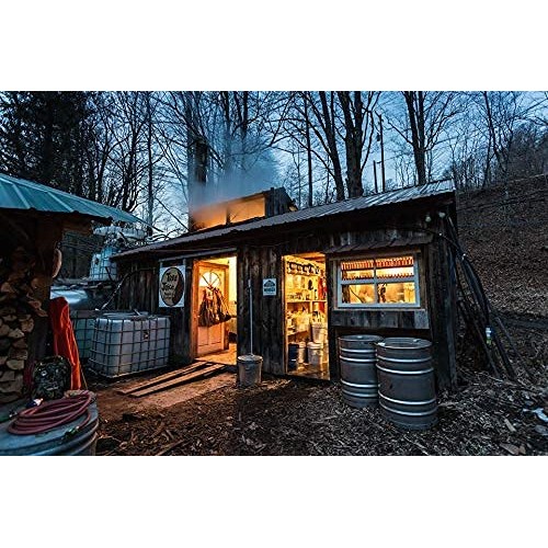 Tree Juice 100% Pure Grade A Maple Syrup | All Natural, Non GMO,...