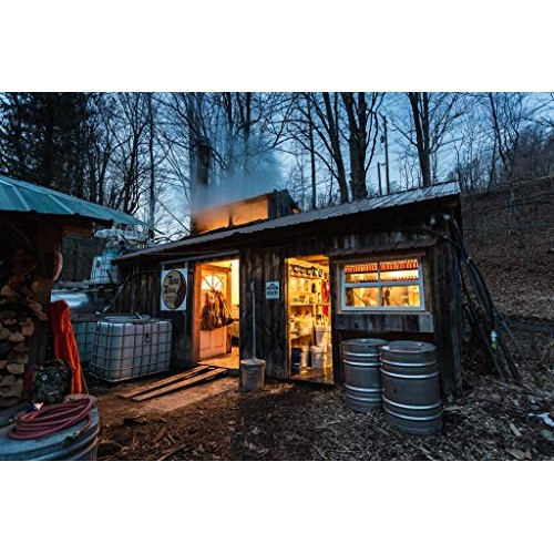 Tree Juice Chocolate Maple Syrup | 100% Pure Grade A Maple Syrup