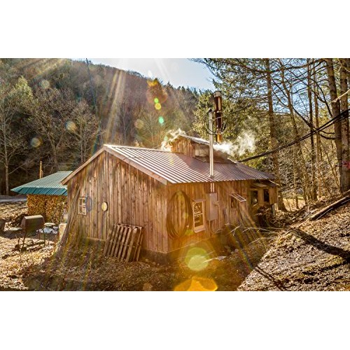 Tree Juice Maple Syrup Vanilla Infused, 12 Ounces