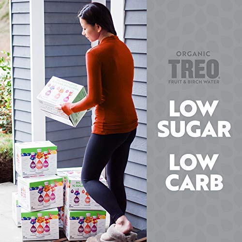 Treo Fruit &Amp; Birch Water Drink, Peach Mango, Usda Organic, Non-G