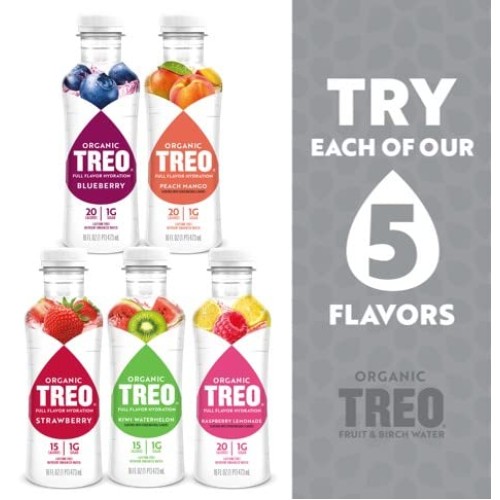 Treo Fruit &Amp; Birch Water Drink Variety Pack, Pack Of 12