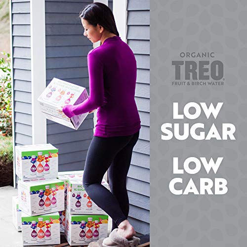 Treo Fruit &Amp; Birch Water Drink Variety Pack, Pack Of 12