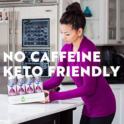 Treo Fruit &Amp; Birch Water Drink Variety Pack, Pack Of 12