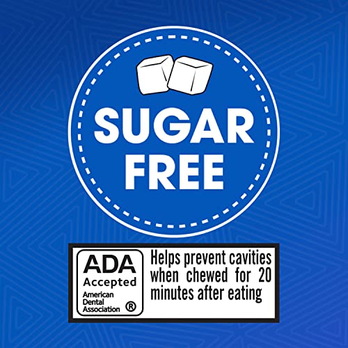 Trident Spearmint Sugar Free Gum, 24 Packs of 14 Pieces 336 Tot...