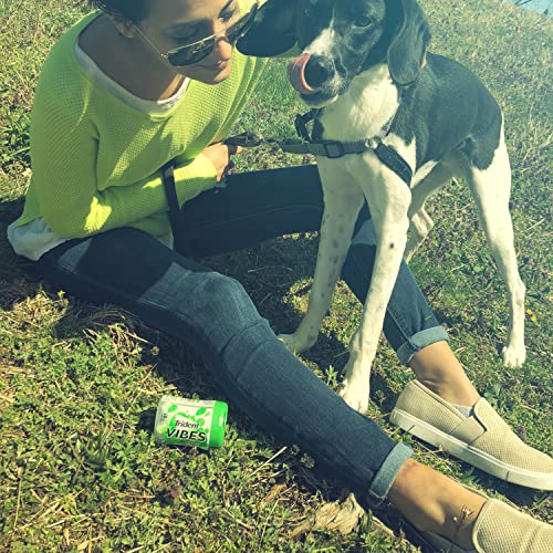 Trident Vibes Spearmint Rush Sugar Free Gum, 4 Bottles of 40 Pie...