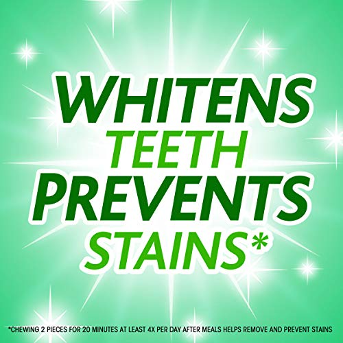 Trident White Spearmint Sugar Free Gum, 9 Pack Of 16 Pieces 144