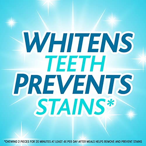 Trident White Wintergreen Sugar Free Gum, 9 Packs of 16 Pieces ...