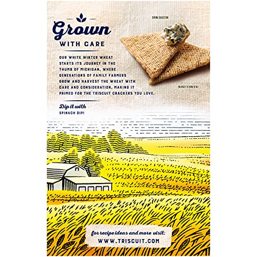 Triscuit Thin Crisps Crackers, Parmesan Garlic Flavor, 1 Box 7.