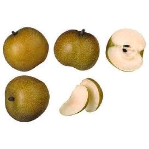 Fresh Asian Pears 3Lb