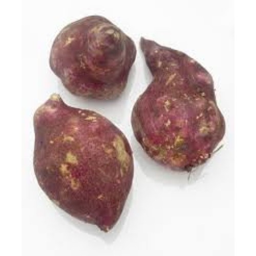 Fresh Boniato Cuban Or Tropical Sweet Potato 3Lbs