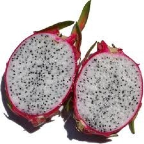 Fresh Dragon Fruit Set Of 6
