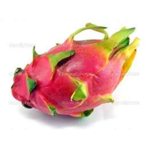 Fresh Dragon Fruit Set Of 6