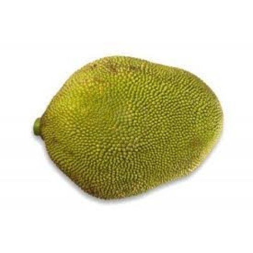 Fresh Whole Jackfruit One Fruit 15-18Lbs