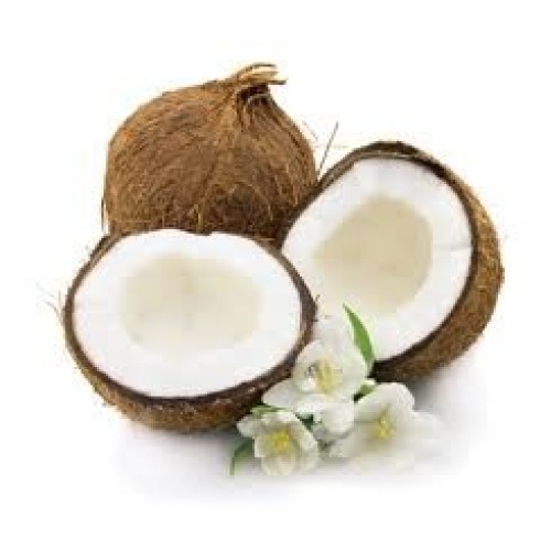 Fresh Coconuts Set Of 9