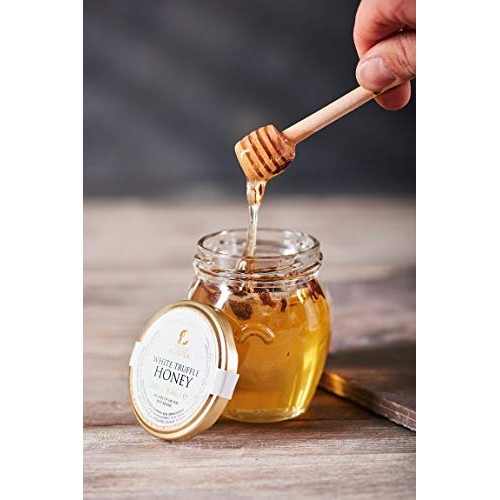 Trufflehunter Real White Spring Truffle Tuber Borchii Acacia H