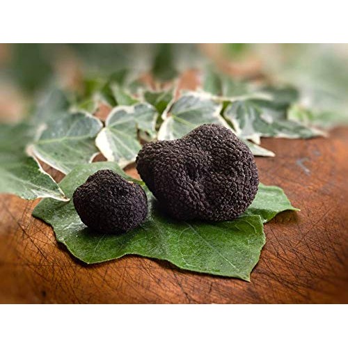 Black Summer Truffle Tuber Aestivum Luxury Gourmet Food Sauce Pa