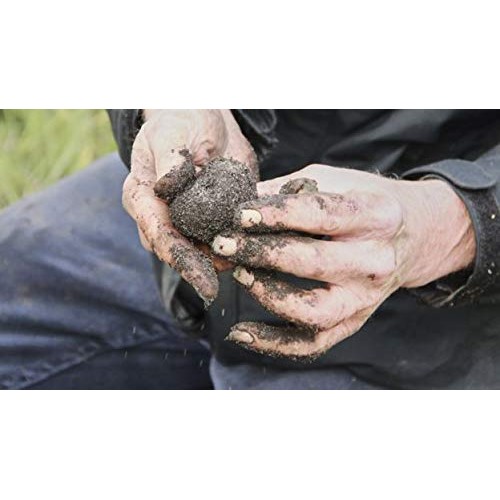 Black Summer Truffle Tuber Aestivum Luxury Gourmet Food Sauce Pa