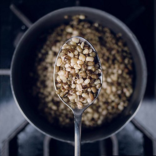 Truroots Organic Sprouted Mung Beans, 10-Ounce Pouches Pack Of 6