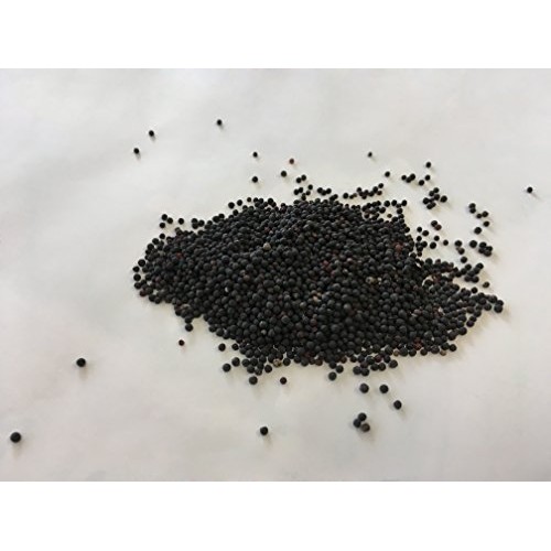 Cowherb Seed | Vaccaria segetalis Neck. Garcke Seed | Wang Bu ...