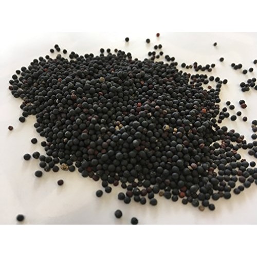 Cowherb Seed | Vaccaria segetalis Neck. Garcke Seed | Wang Bu ...