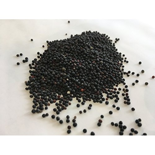Cowherb Seed | Vaccaria segetalis Neck. Garcke Seed | Wang Bu ...