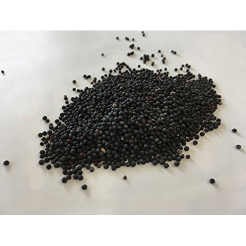 Cowherb Seed | Vaccaria segetalis Neck. Garcke Seed | Wang Bu ...