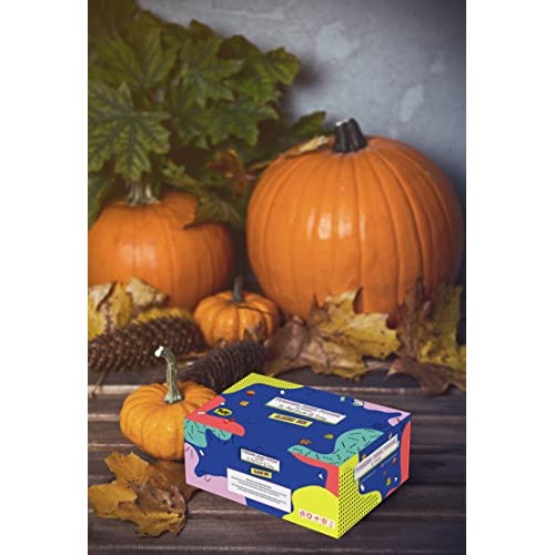 Classic Maxi Box International Snacks Extra Care Package, Ultima...