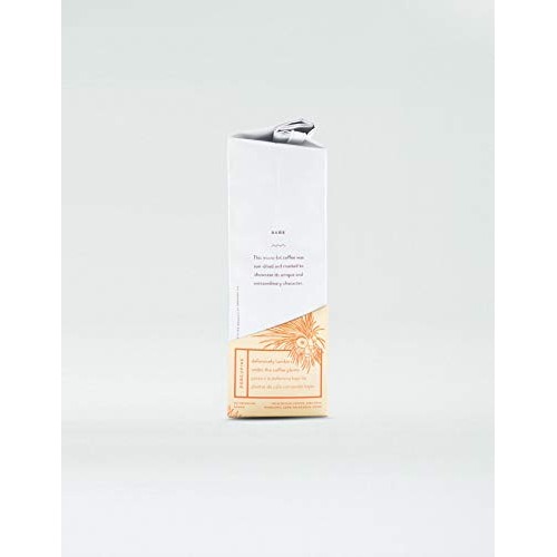 Honey-Bear - Reserve Limited Edition | Reserve Roast, Whole Bean