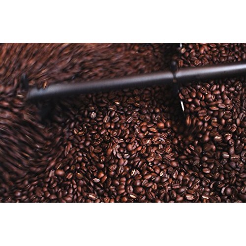 Honey-Bear - Reserve Limited Edition | Reserve Roast, Whole Bean