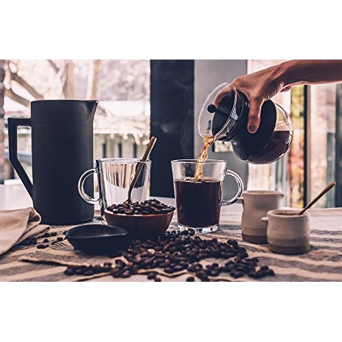 Honey-Bear - Reserve Limited Edition | Reserve Roast, Whole Bean