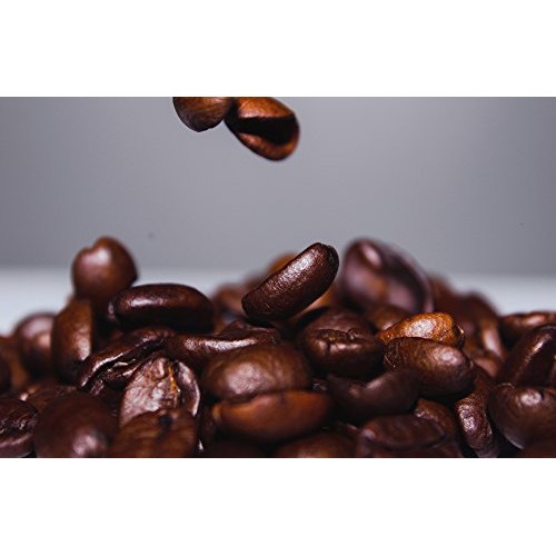 Honey-Bear - Reserve Limited Edition | Reserve Roast, Whole Bean