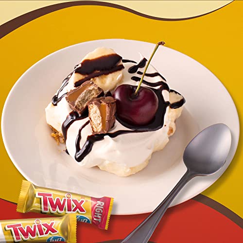 Twix Caramel Fun Size 18.28 Ounce