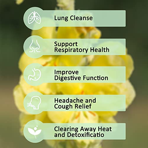 TZTZBOM Organic Mullein Leaf Tea Lung Detox Cleanse Tea, 20 Tea ...