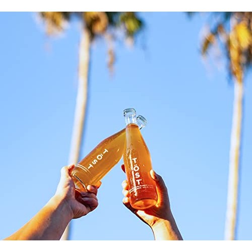 Töst All-Natural Alcohol Free Sparkling Beverage, 25.4 Fl Oz Pa