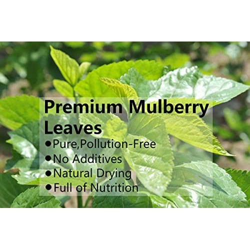 Premium Natural Mulberry Leaf Tea 9 Oz/254.7g, 桑叶茶 Loose Leaf...