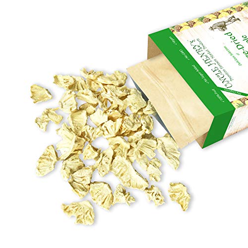Freeze Dried Pineapple: Delicious Fruits 2.5Oz 72G Large Bulk