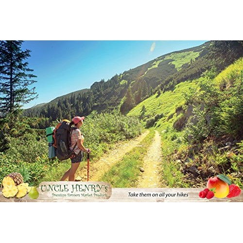 Freeze Dried Pineapple: Delicious Fruits 2.5Oz 72G Large Bulk