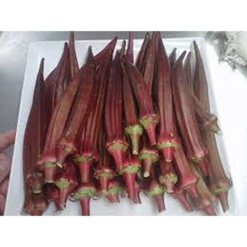 Okra.Burgandy Red Beautiful And So Colorful!! And Tasty!!!!!!!
